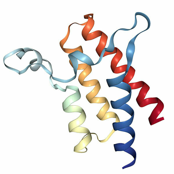 Recombinant human SMARCA2 protein (1373-1493), Tag free