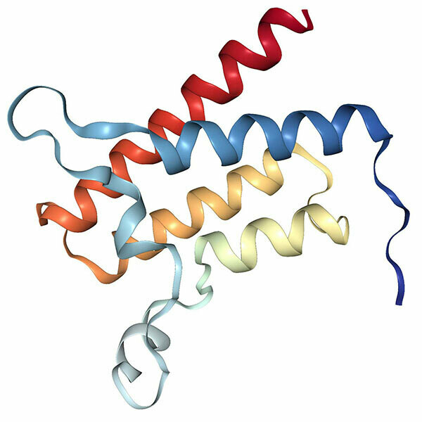 Recombinant Human SMARCA4 protein (1447-1569), Tag free