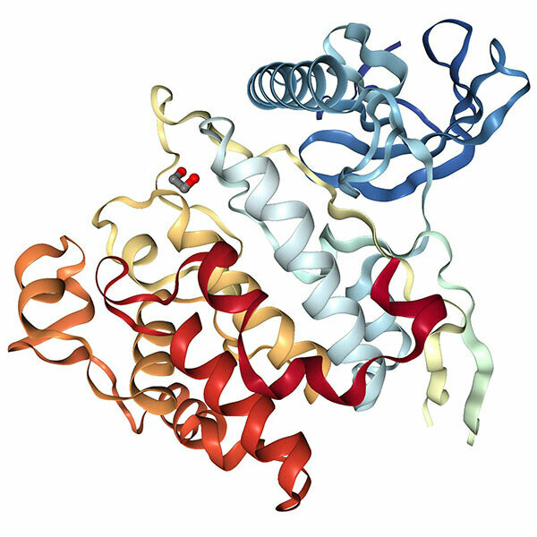 Recombinant Human CLK3 protein (275-632), His-tagged