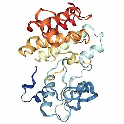 Recombinant Human EPHA7 protein (590-899), His-tagged