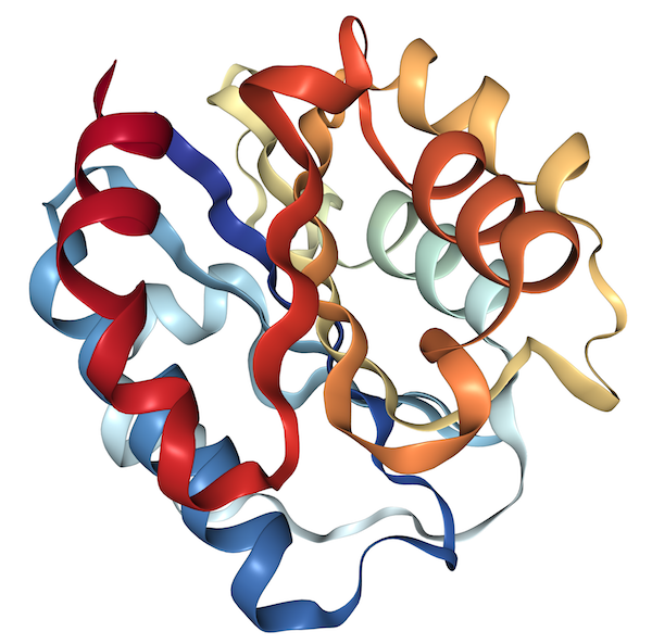 Recombinant Human CD11b protein (aa 143-337), His-tagged