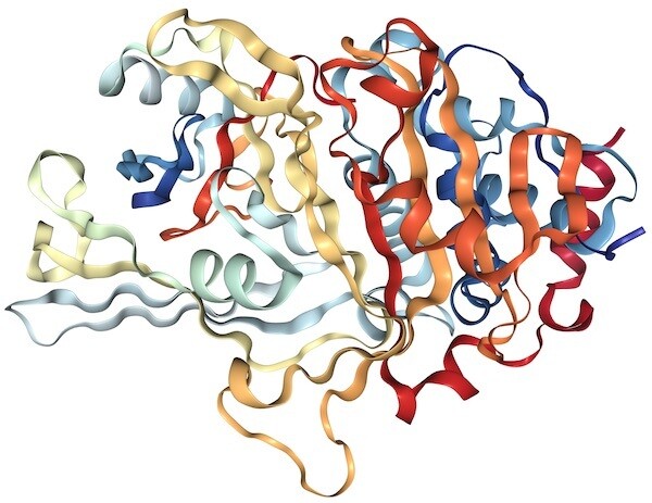 Recombinant Human USP7 protein (aa 208-554), Tag free