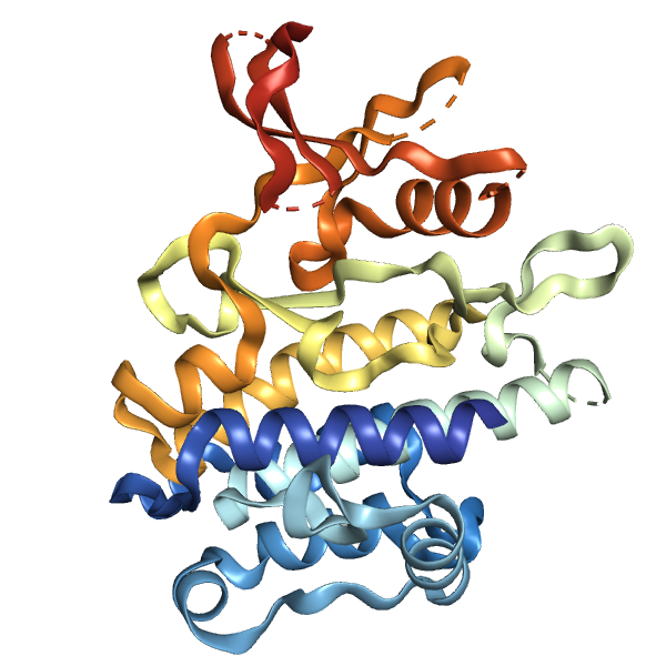 Recombinant Human RSK1 (413-735), Tag free Recombinant Human RSK1 (413-735), Tag free