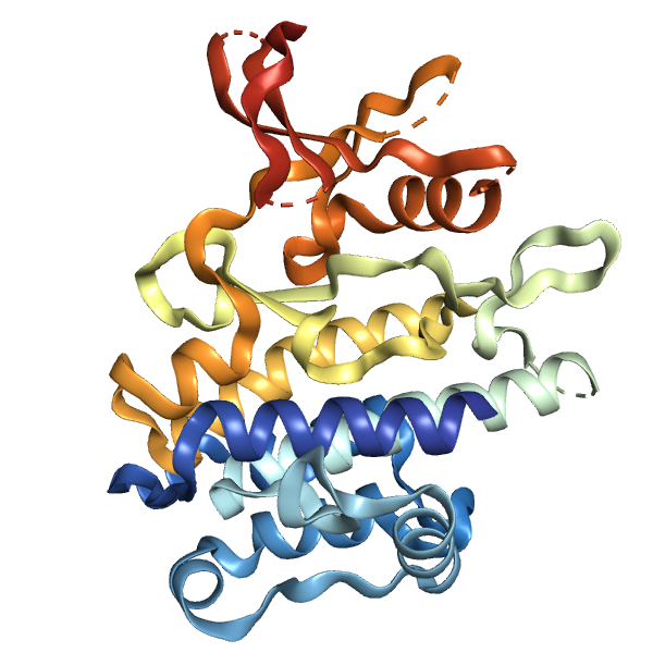 Recombinant Human RSK1 (aa 413-735), His-tagged