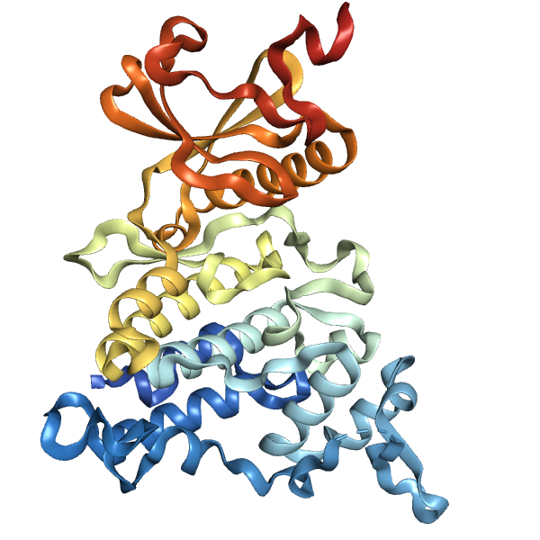 Recombinant Human DYRK1A (127-485), tag free Recombinant Human DYRK1A (127-485), tag free