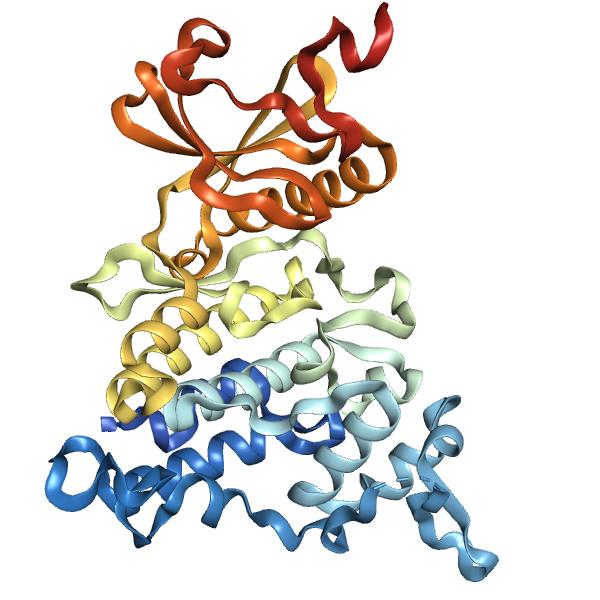 Recombinant Human DYRK1A (aa 127-485), tag free