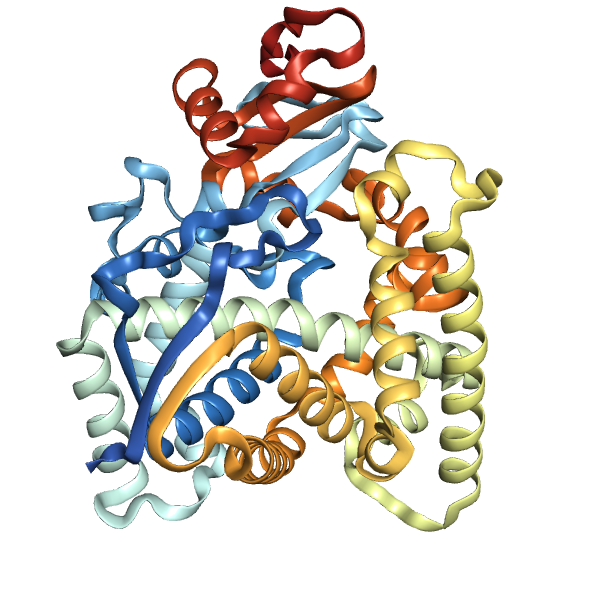 Recombinant Human CYP51A1 (61-503), His-tagged