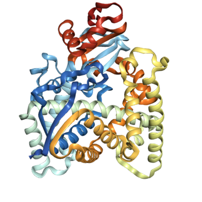 Recombinant Human CYP51A1 (aa 61-503), His-tagged