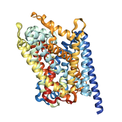 Recombinant Bacterial LeuT (1-513), Tag free Recombinant Bacterial LeuT (1-513), Tag free