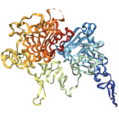 Recombinant Human HER2 (23-646), His-tagged