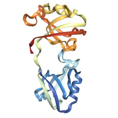 Recombinant Human PSD-95 protein ( 55-249), tag free