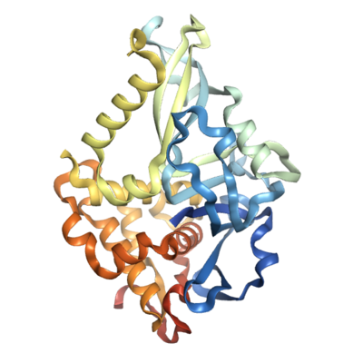 Recombinant Human USP8 protein (734-1110), His-tagged