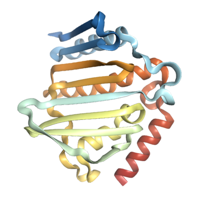 Recombinant Bacterial gyrB protein (2-104, 128-234), His-tagged