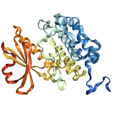 Recombinant Human STK17B protein (25-329), His-tagged
