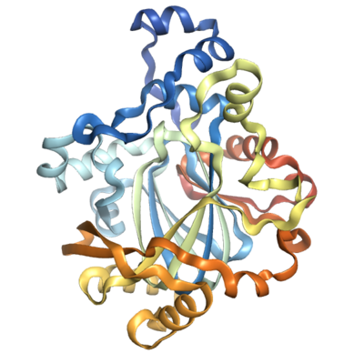 Recombinant Human JMJD3 protein (1-332), tag free