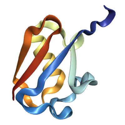 Recombinant Human Ubiquitin (1-76), tag free