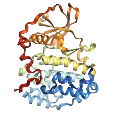 Recombinant Human CK2 protein (2-329), His-tagged