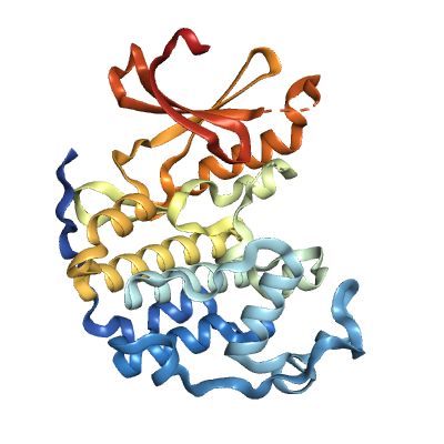 Recombinant Human CDK2 (1-298), tag free