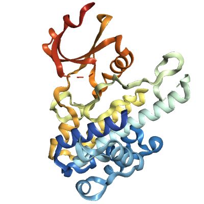 Recombinant Human RSK2 (400-740), His tag