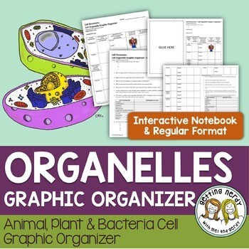 Cell Organelles Structure & Function Graphic Organizer & PowerPoint- Distance Learning + Digital Lesson