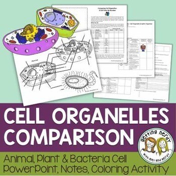 Plant, Animal, &amp; Bacteria Cells Comparison - Organelle Structure &amp; Function PowerPoint, Notes, and Activity