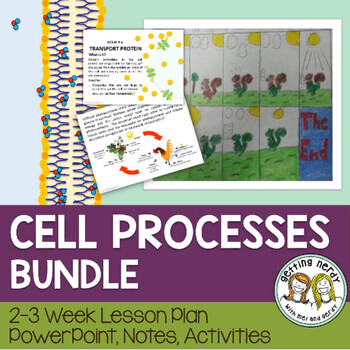 Cell Processes - PowerPoint & Handouts Bundle - Distance learning + Digital Lesson
