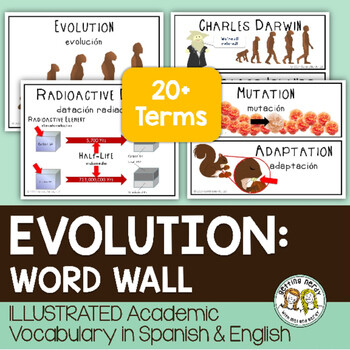Evolution - Word Wall