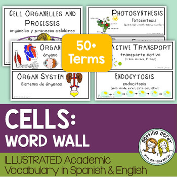 Cells - Word Wall
