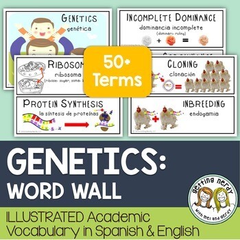 Genetics - Word Wall