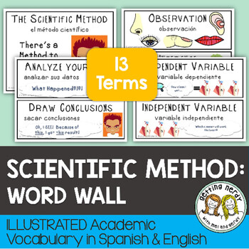 Scientific Method - Word Wall