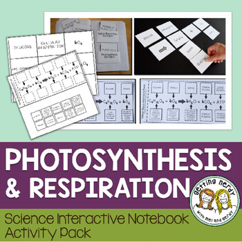 Science Interactive Notebook - Respiration and Photosynthesis