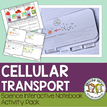 Science Interactive Notebook - Osmosis and Diffusion