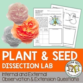Flower Dissection