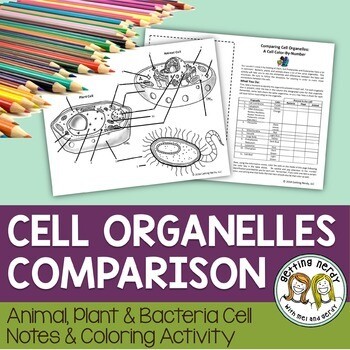 Cell Organelle Structure & Function - Color by Number - Distance Learning + Digital Lesson