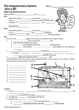 Getting Nerdy Science: Life Science & Biology Lessons