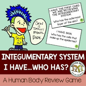 Integumentary system - Human Body 