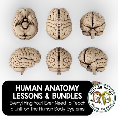 Human Body Lessons & Bundles