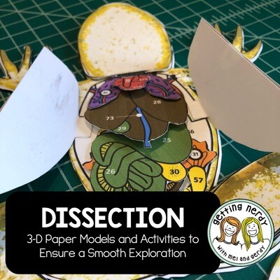 Dissection Models