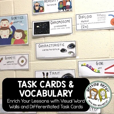 Thinkets/Vocabulary & Word Wall