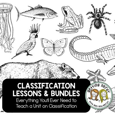 Classification Lessons & Bundles