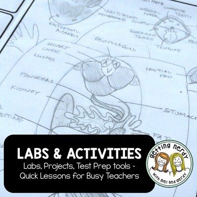 Labs & Activities