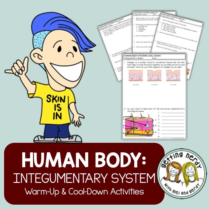 Integumentary System Human Body Warm-Up Cool-Down Entry & Exit Tickets