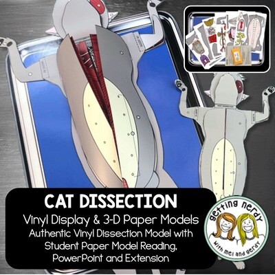 Cat Vinyl Dissection - Scienstructable 3D Dissection Model Paper + Digital