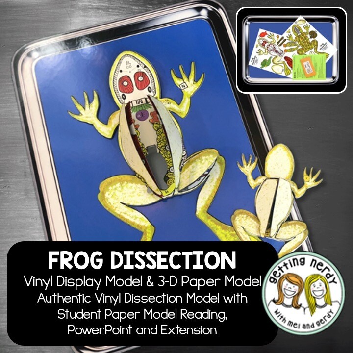 Frog Vinyl Dissection - Scienstructable 3D Dissection Model + Paper Version
