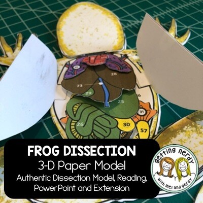Frog - Scienstructable 3D Dissection Paper Model