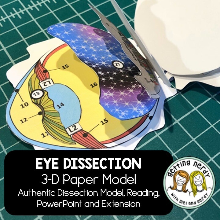 Eye Paper Dissection - Scienstructable 3D Dissection Model - Distance Learning + Digital Lesson