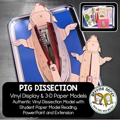 IRREGULAR PRINTING: Fetal Pig Vinyl Dissection - Scienstructable 3D Dissection Model - DISCOUNTED