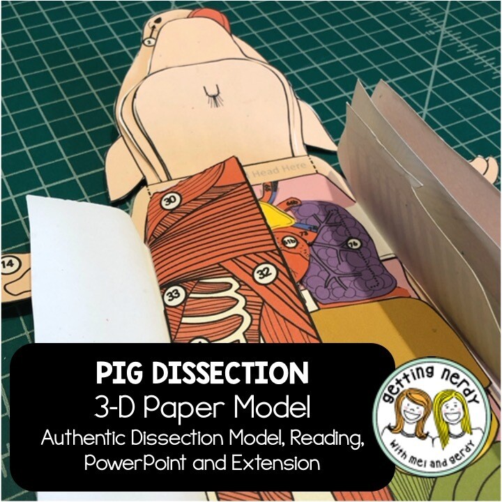 Fetal Pig Anatomy Dissection 3-D Paper Model: PPT, Reading Passage, Extension
