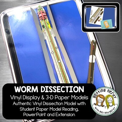 Earthworm Vinyl Dissection - Scienstructable 3D Dissection Model + Paper Version
