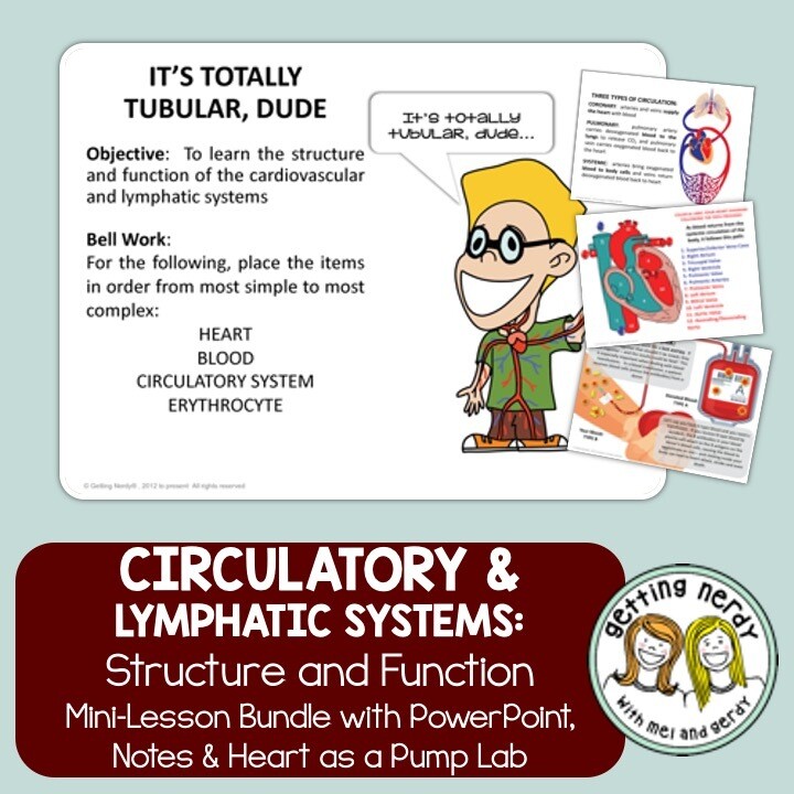 Circulatory & Lymphatic Systems PowerPoint & Notes - Human Body PowerPoint, Notes, and Lab